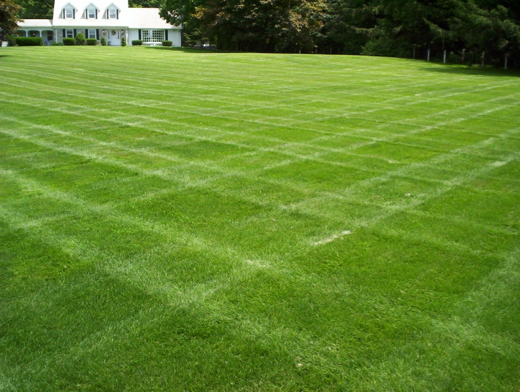 Lawn & Landscape Maintenance Elburn, St. Charles, Huntley ...